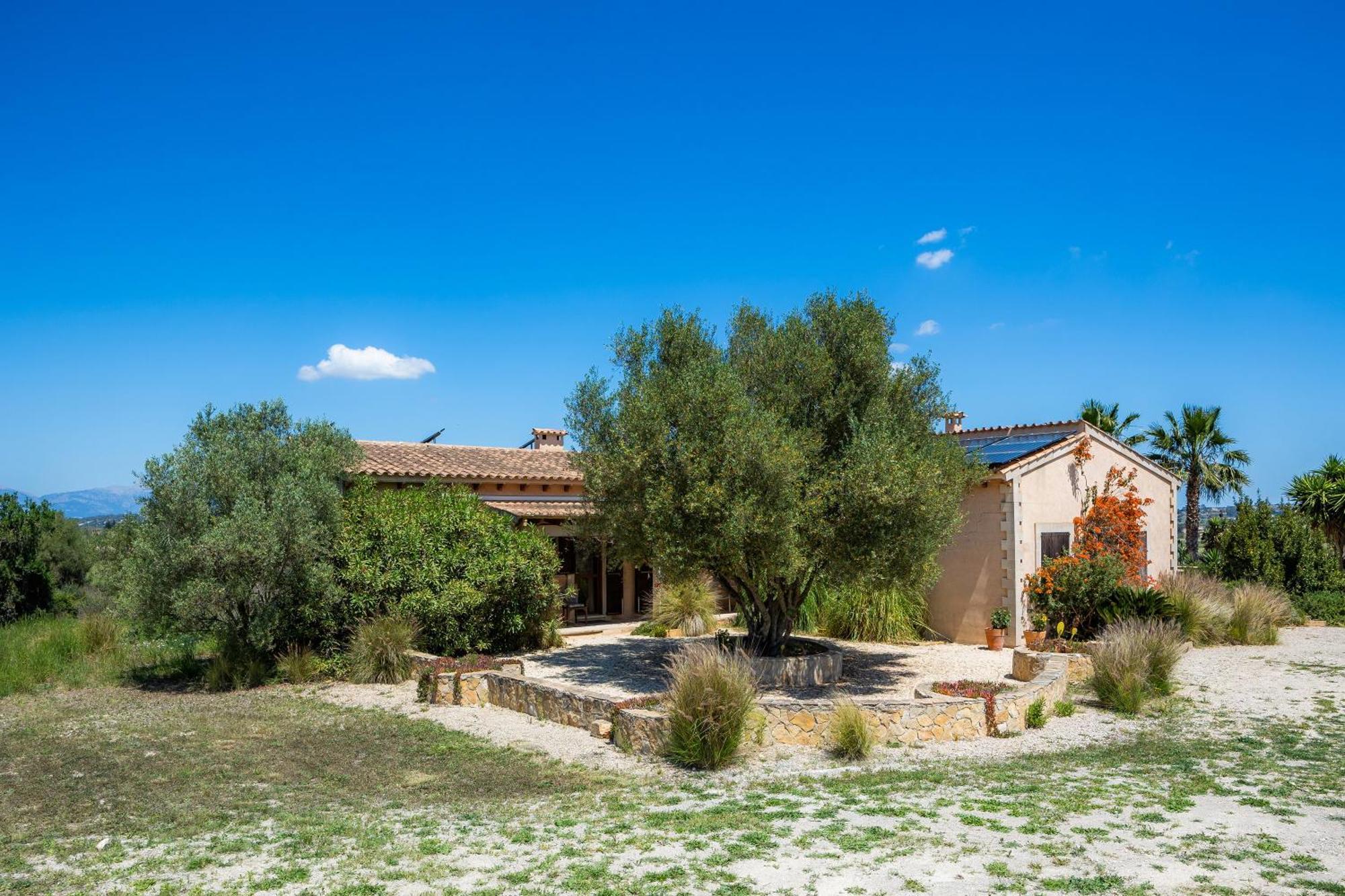 Villa Buena Vista *